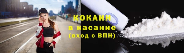 ГАЛЛЮЦИНОГЕННЫЕ ГРИБЫ Новозыбков