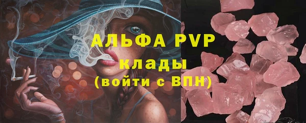ГАЛЛЮЦИНОГЕННЫЕ ГРИБЫ Новозыбков